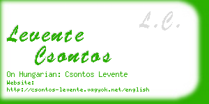 levente csontos business card